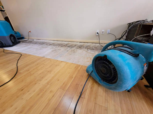 Professional Burst Pipe Water Damage technician working in Chandler, IN